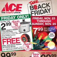 Ace Hardware Black Friday 2012 Ad