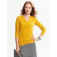 Extra-Fine Merino Wool Vee